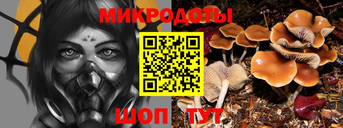 Галлюциногенные грибы мухоморы Белореченск
